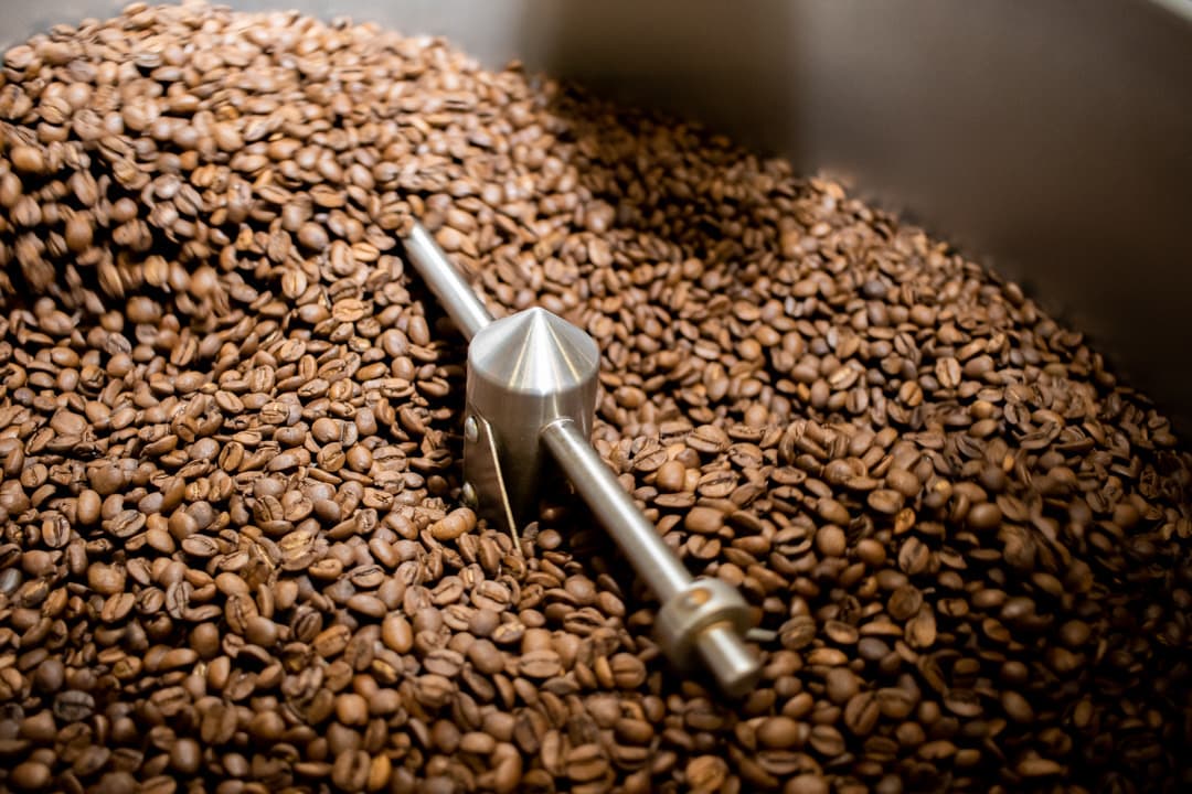 Grains de café Loring